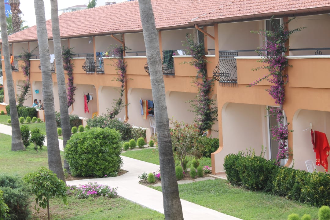 Номера с видом на главный бассейн Club Turtas Beach Hotel