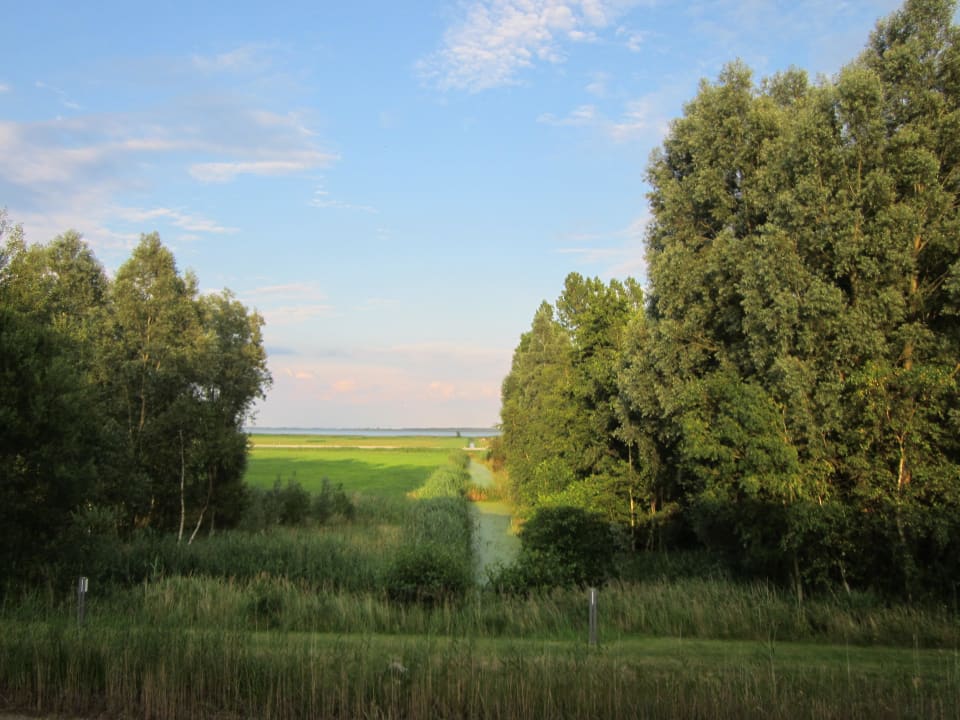 Blick von der Frühstücksterrasse zum Bodden Ostseehotel Dierhagen