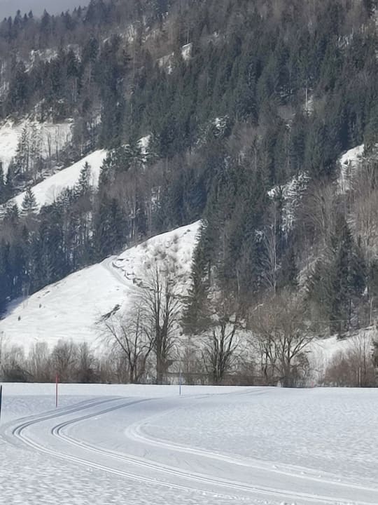 Sonstiges Appartementhaus Montana