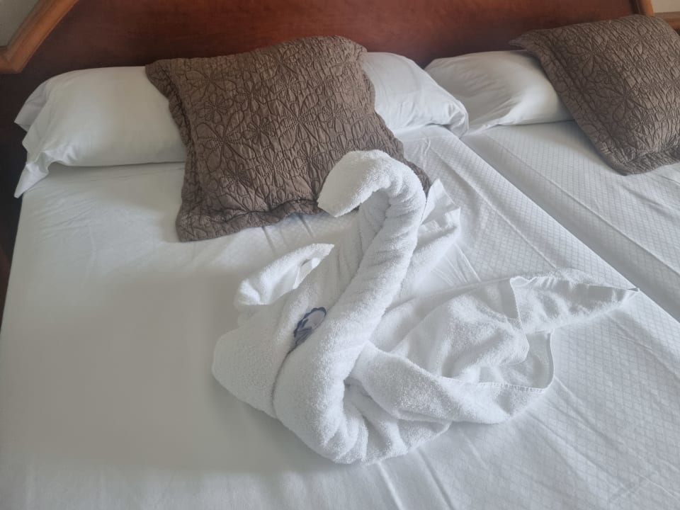 Zimmer Hipotels Hipocampo Playa