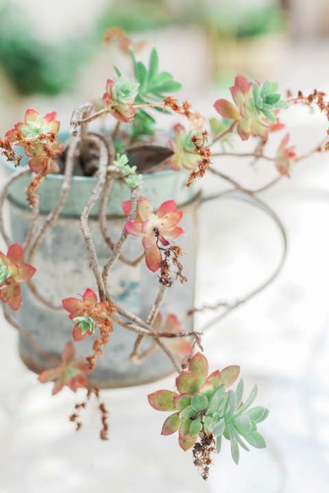 Außenansicht Afroditi Pansion