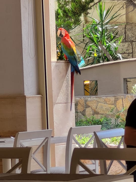 Gastro TUI BLUE Xanthe