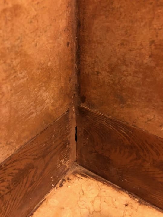 Zimmer Pickalbatros Citadel Resort