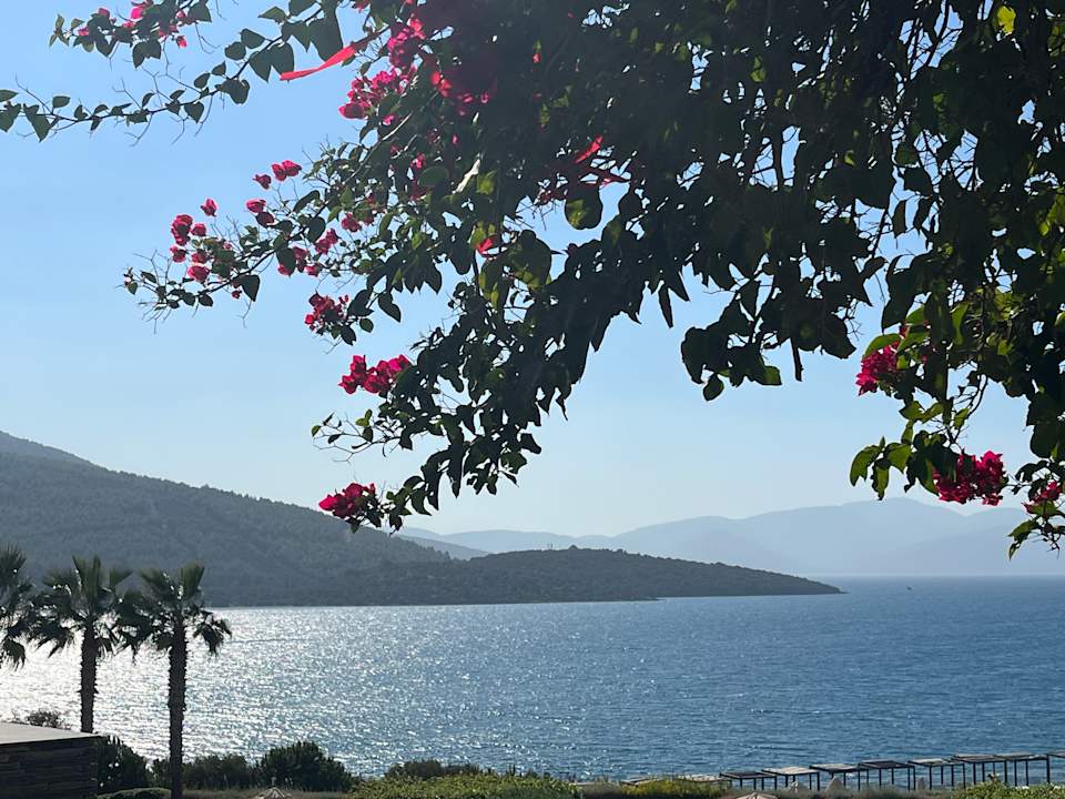 Ausblick La Blanche Island Bodrum