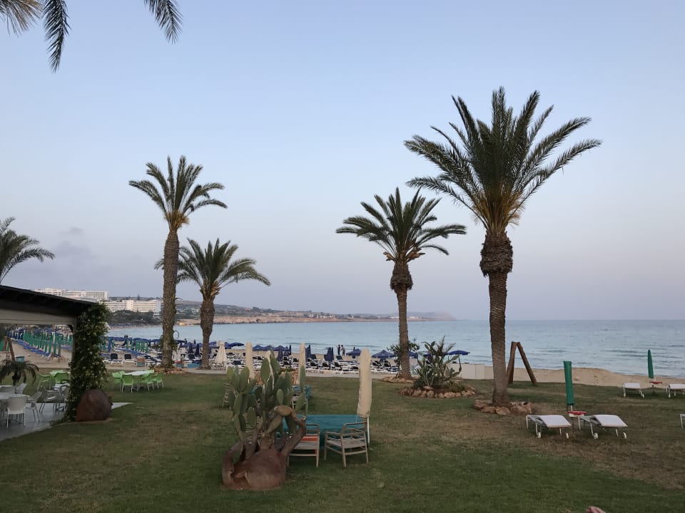 Strand Faros Hotel Ayia Napa