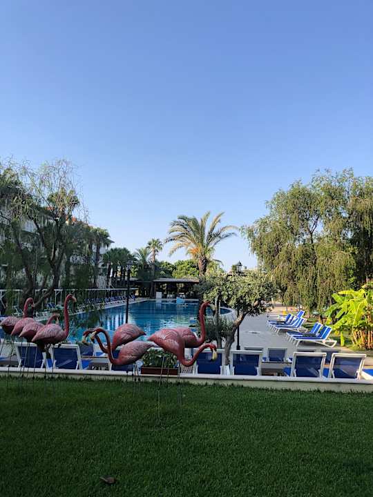 Pool Hotel Süral Resort