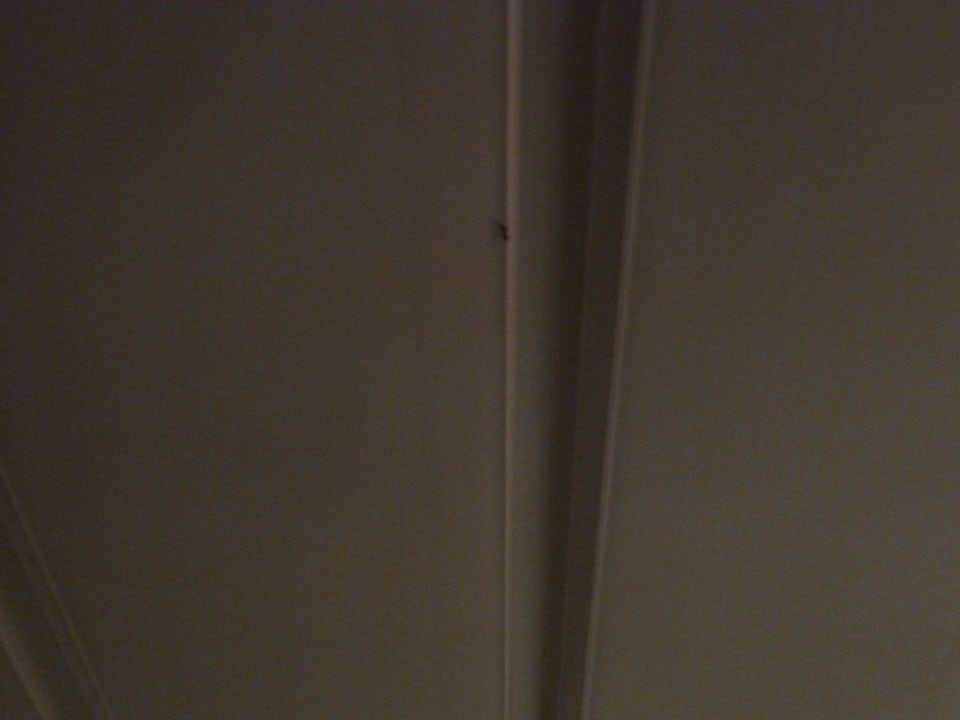 Defekte Holzdecke im Bad VIVA Eden Lago