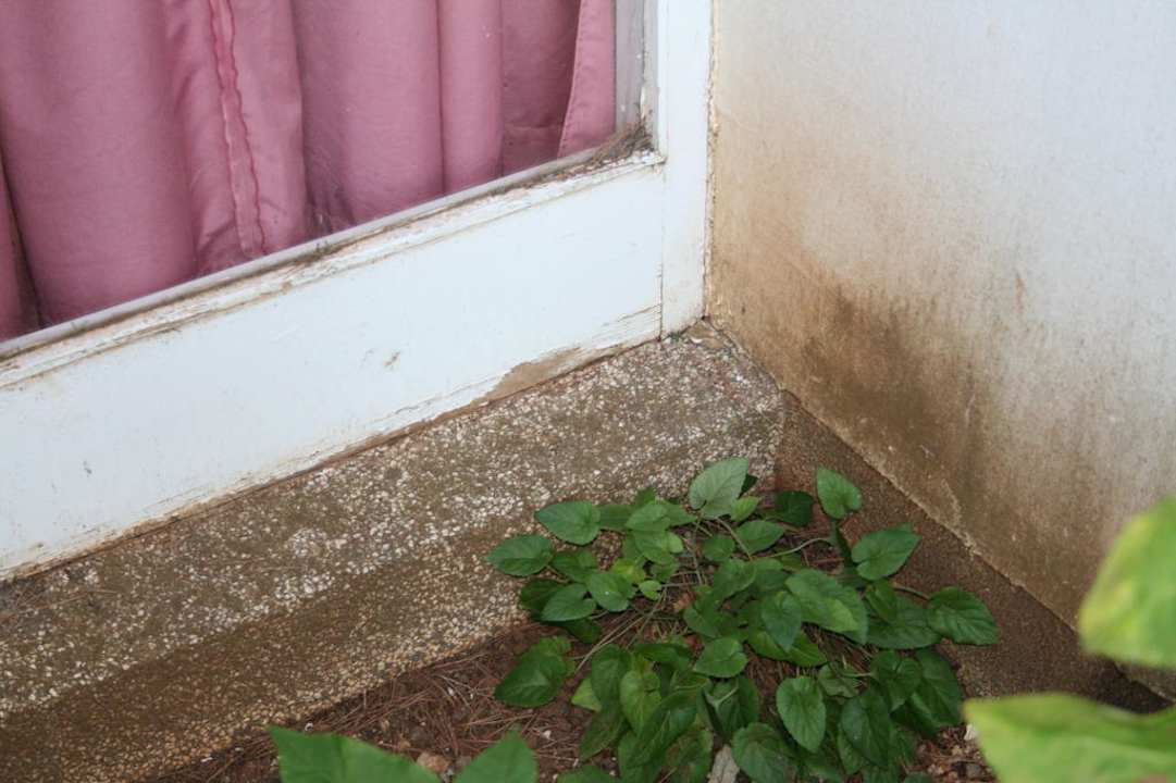 Fensterelement Eingangsbereich Rivijera Villen & Dependance Flora & Madera