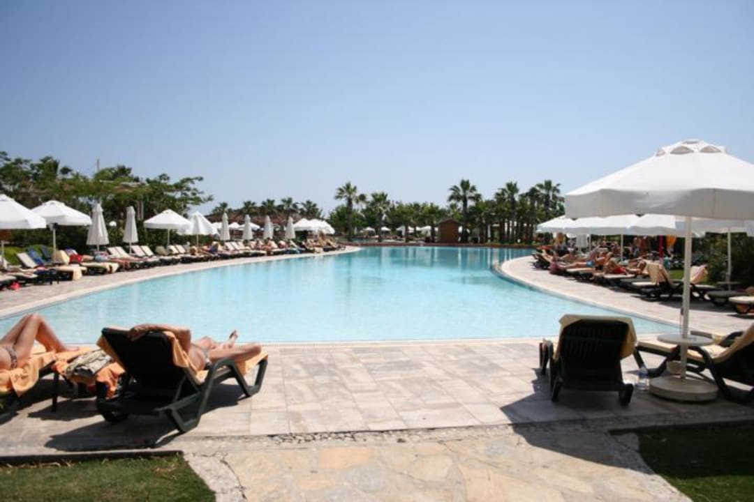 Die Poolanlage sehr sauber Lara Barut Collection