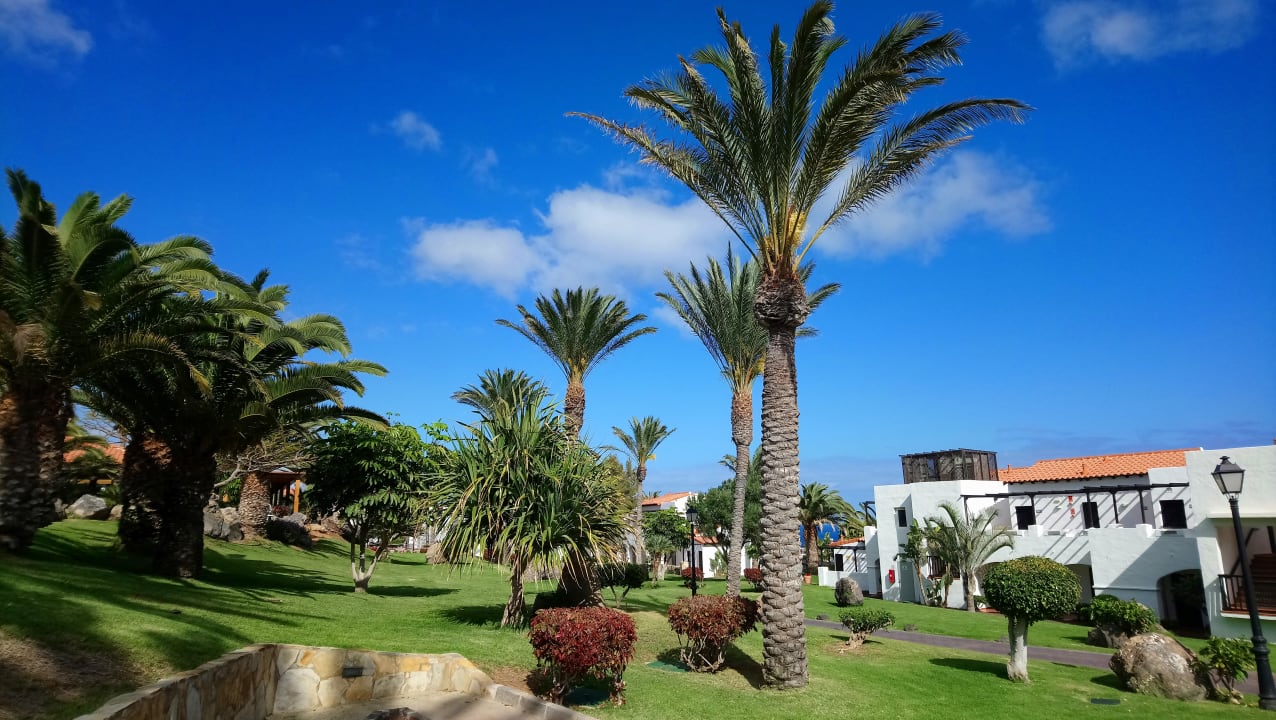 Gartenanlage TUI MAGIC LIFE Fuerteventura