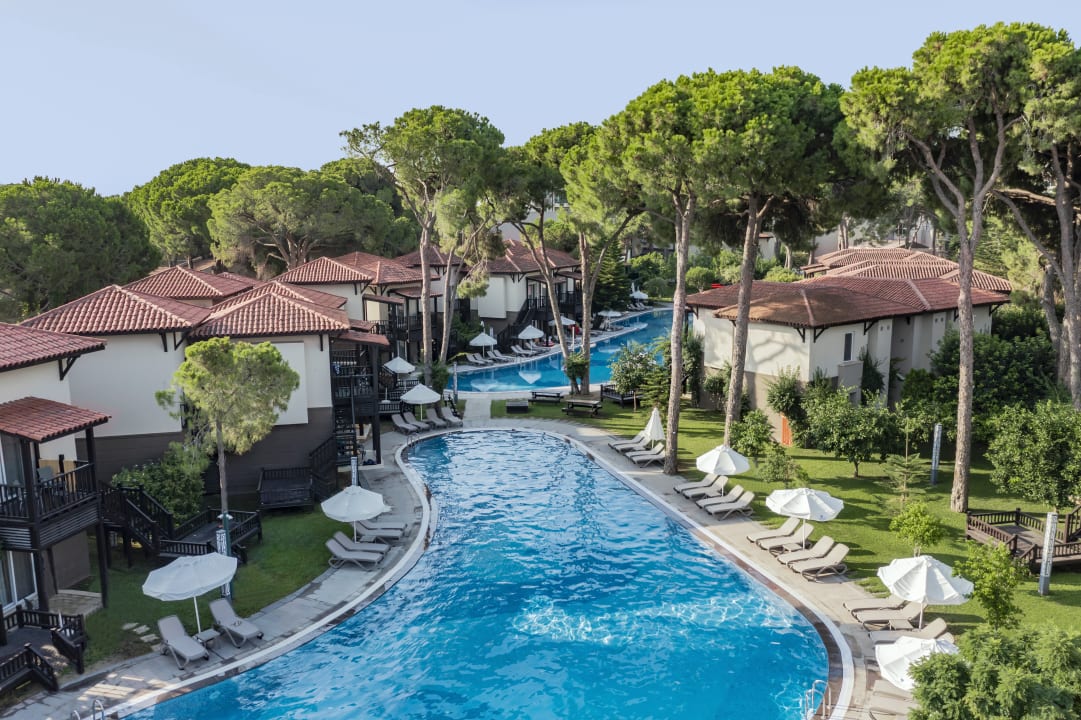 Pool Papillon Ayscha