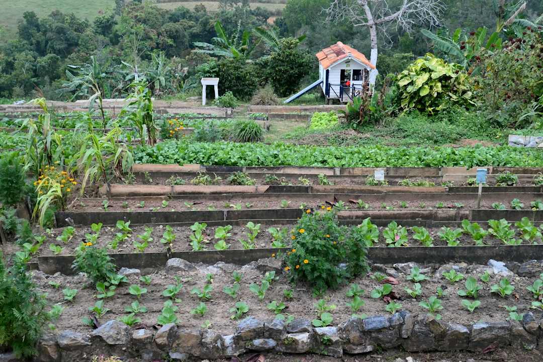 Gastro Casa Mis Cumbres