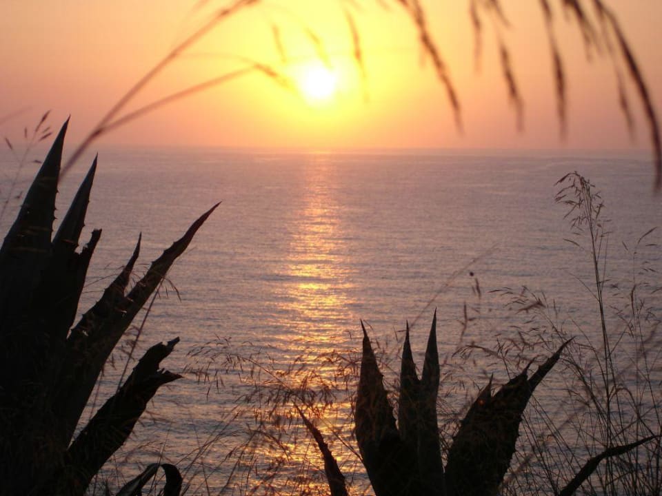 Sonnenaufgang Apartamentos Arenal d'Or