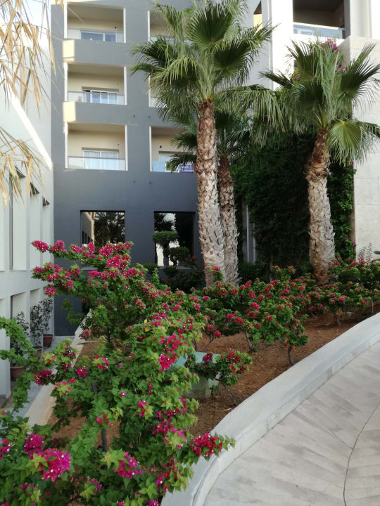 Garten Hotel Rosa Beach