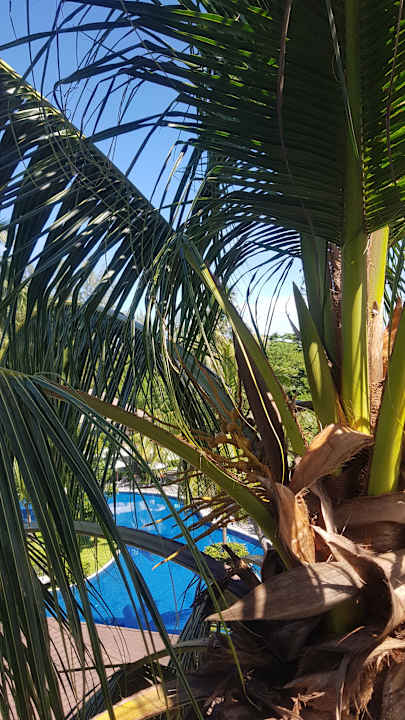 Pool X10 Khaolak Resort