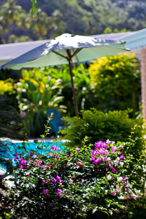 Vue de la pension Le Relais Fenua