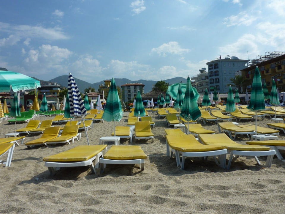 Liegen Hotel Delfino