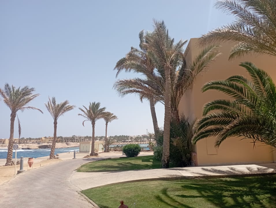 Gartenanlage Steigenberger Coraya Beach - Adults only