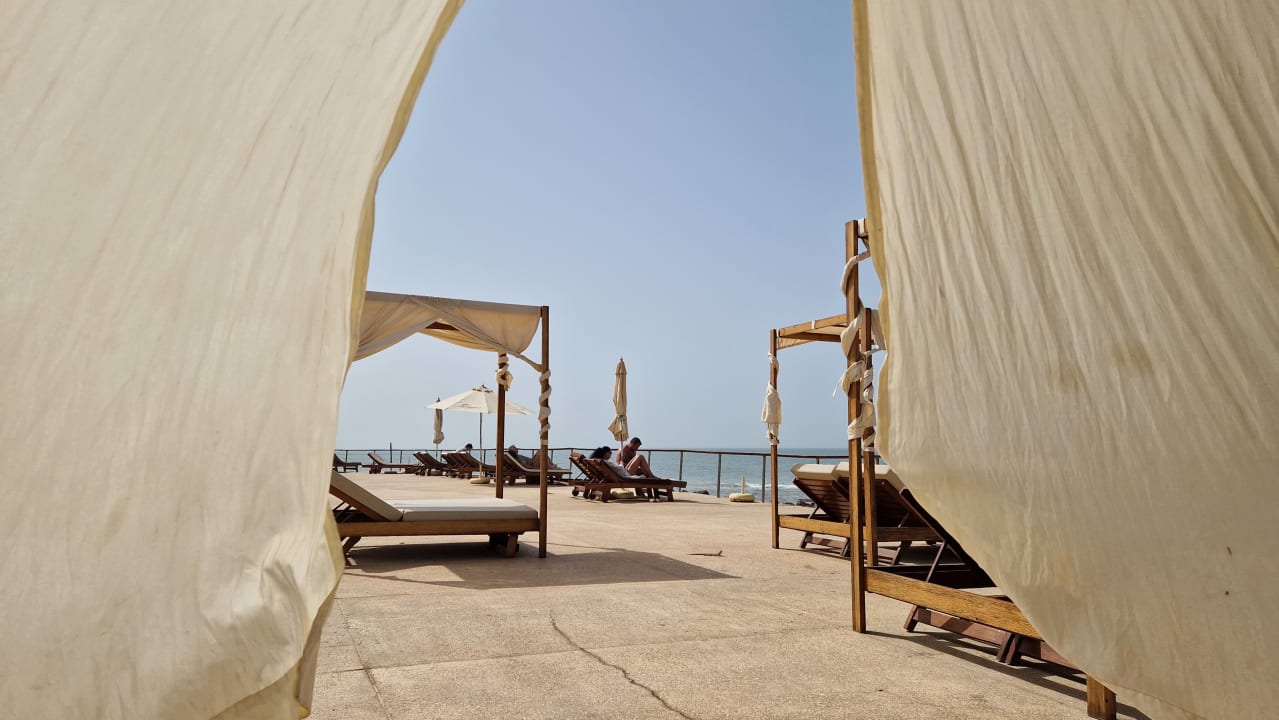 Sonstiges Royal Horizons Baobab