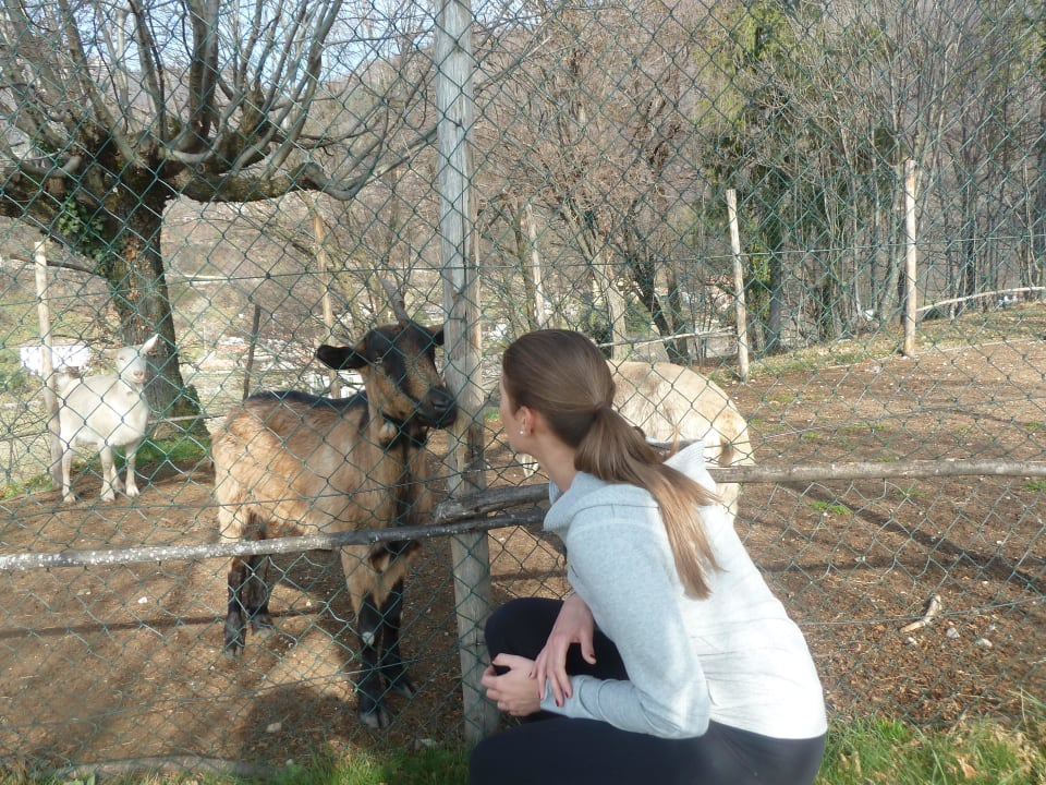 ... Lefay Resort & Spa Lago di Garda