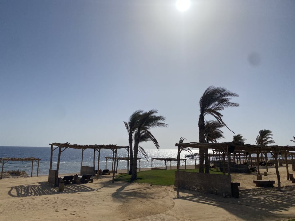 Strand Steigenberger Resort Alaya Marsa Alam - Red Sea - Adults only