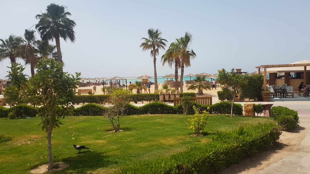 Außenansicht Hotel Sheraton Soma Bay Resort