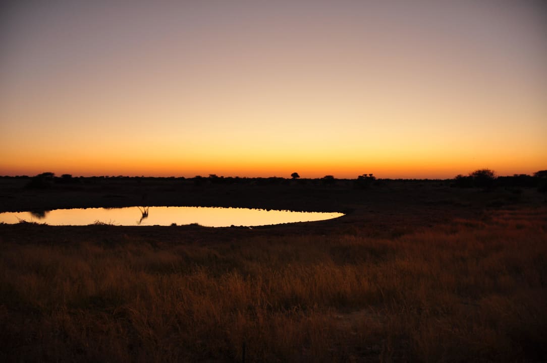Das Wasserloch bei Sonnenuntergang Okaukuejo Camp