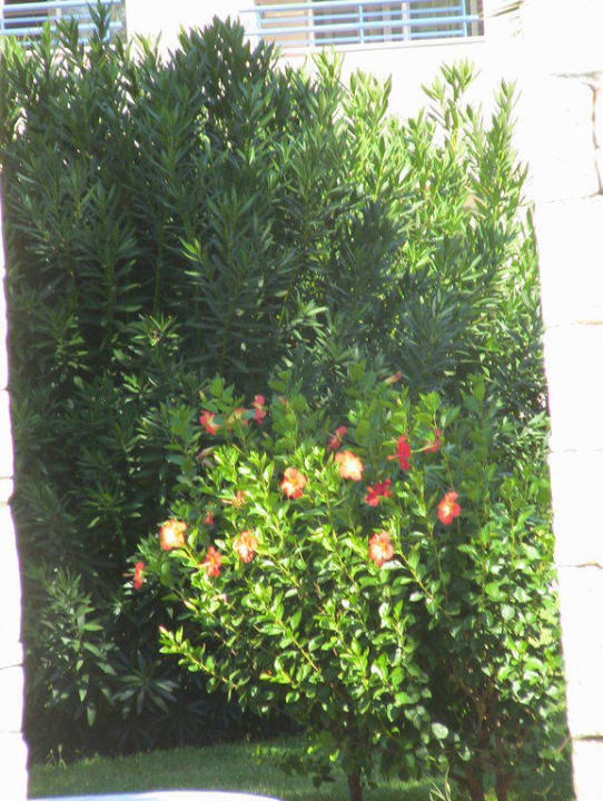 Alles gepflegt Labranda Alantur Resort