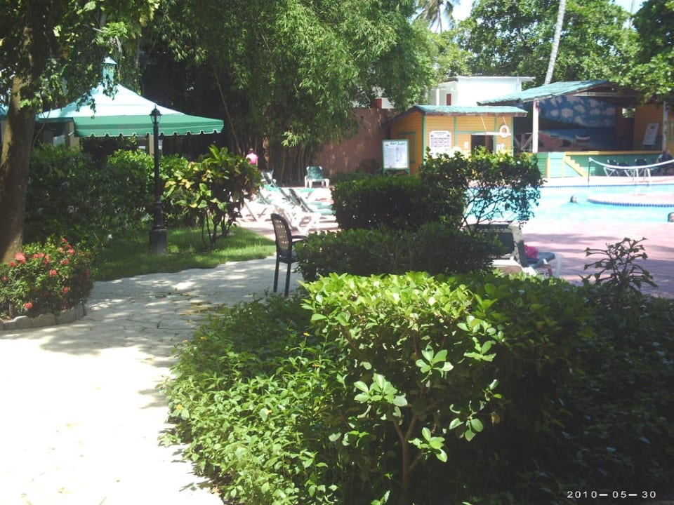 Poolbereich whala!boca chica