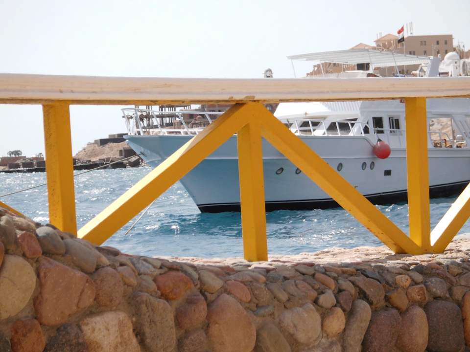 Es gibt immer was zu sehen SUNRISE Holidays Resort (Adults Only)