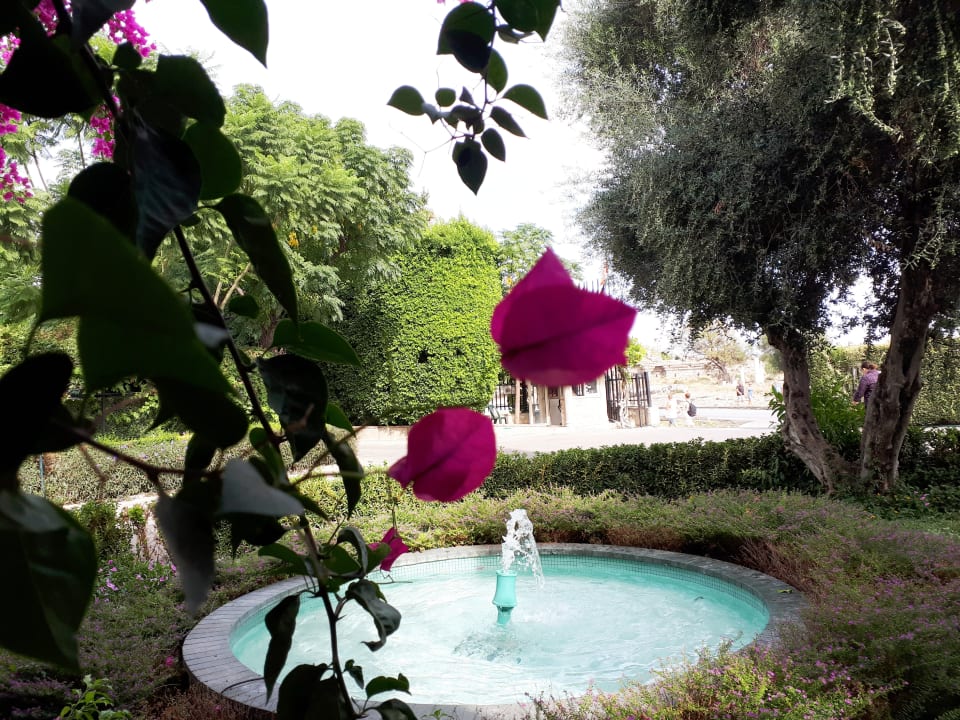 Lobby Can Garden Beach