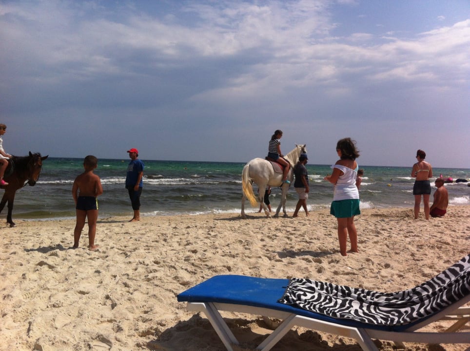 Strand Calimera One Resort Jockey