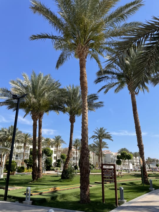 Gartenanlage Pickalbatros Dana Beach Resort - Hurghada