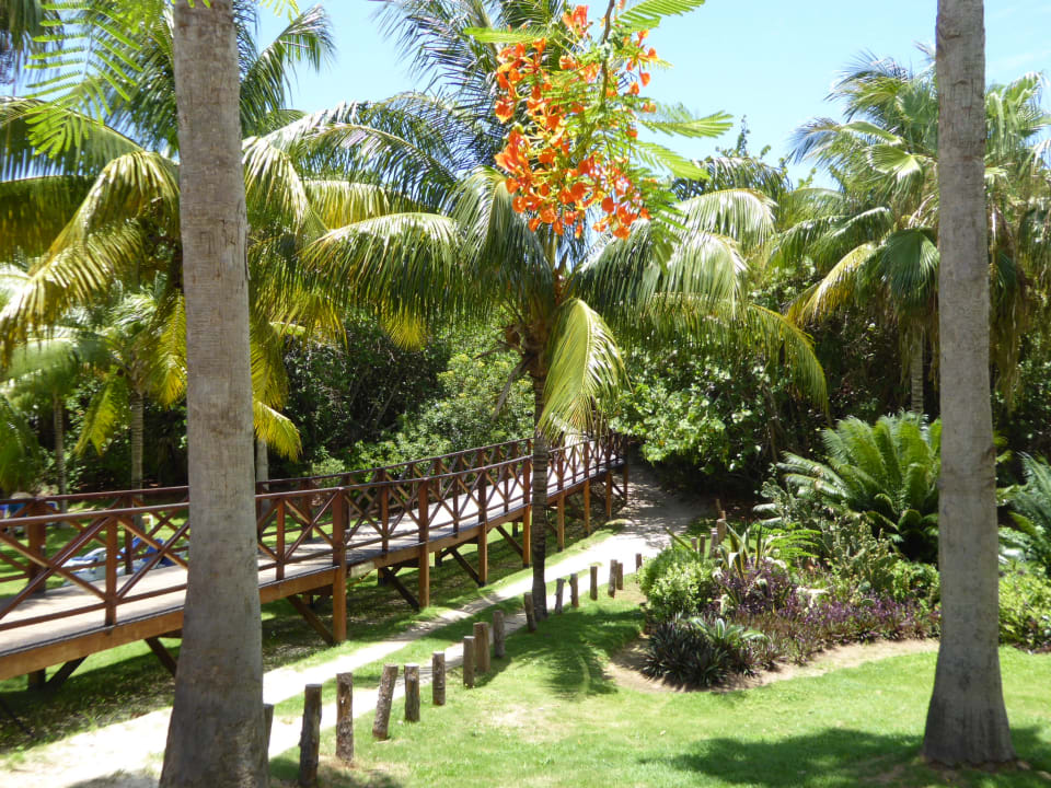 Gartenanlage Blau varadero - Adults only