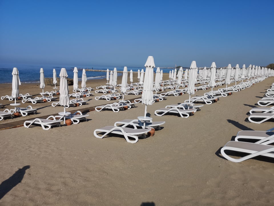 Strand PALOMA Perissia