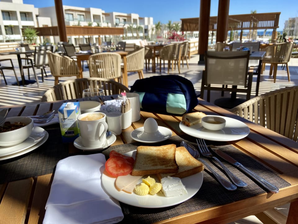 Gastro JAZ Elite Amara