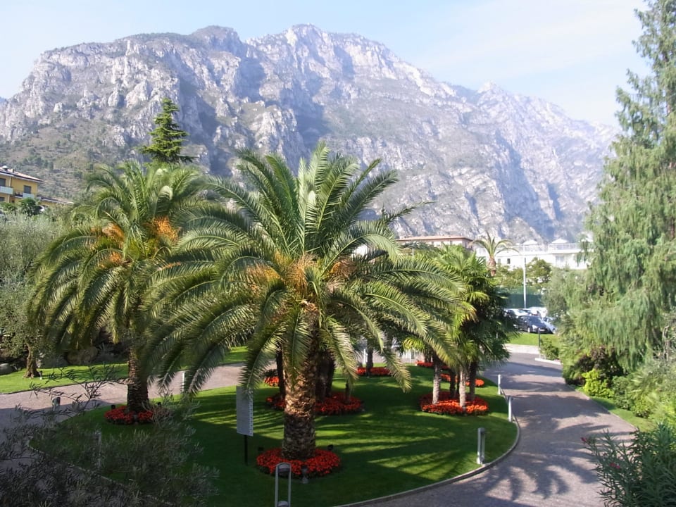 Blick aus dem Zimmer  Hotel Ideal