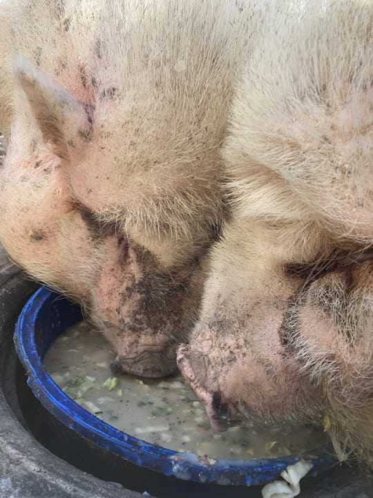 Sport & Freizeit Huberhof