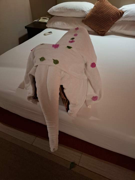 Sonstiges Jaz Makadi Oasis Resort