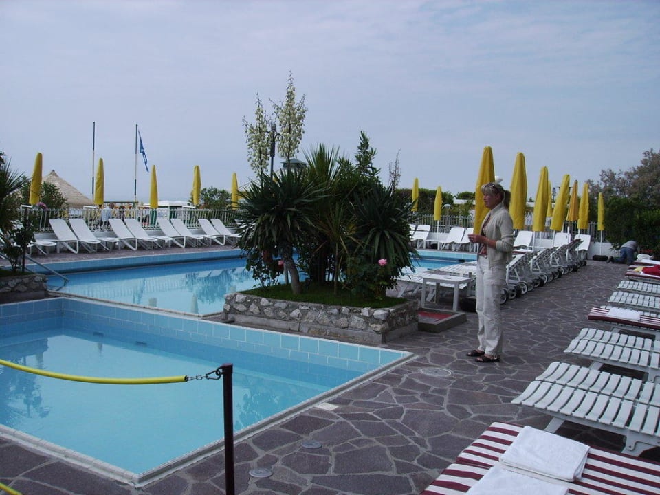 Am Pool Hotel Majestic