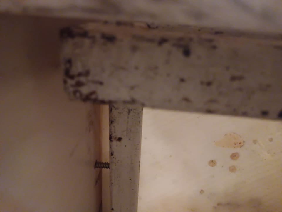 Zimmer Asteria Family Belek