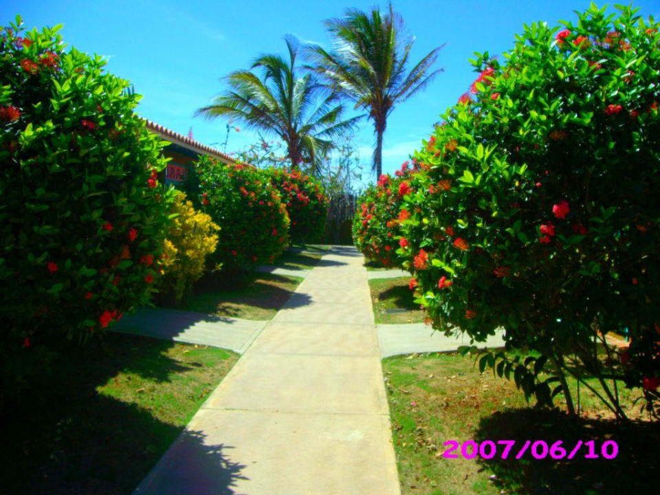 Gang zu den Zimmern Hotel Flamenco Villas / Beach Club