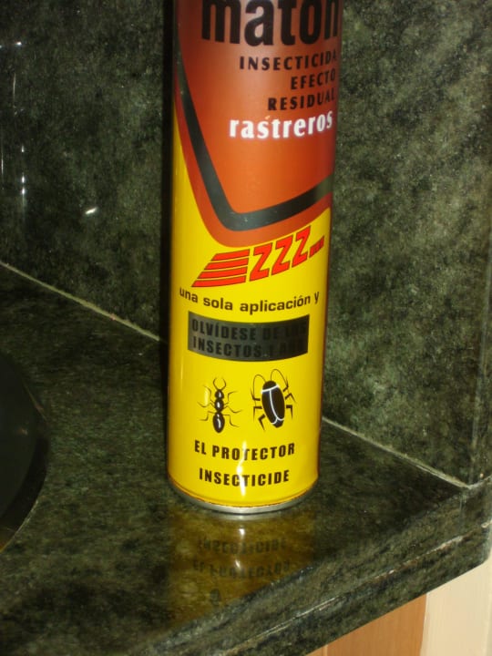 Chemische keule gegen Kakalaken Grupotel Playa de Palma Suites & Spa