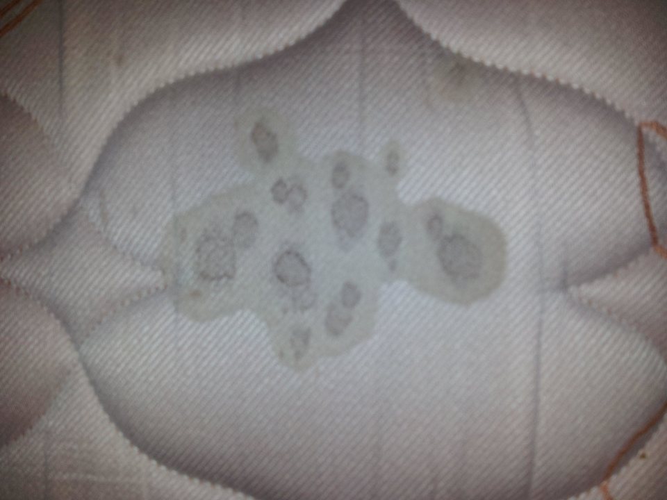 Zimmer 2030 Mahdia Beach & Aquapark