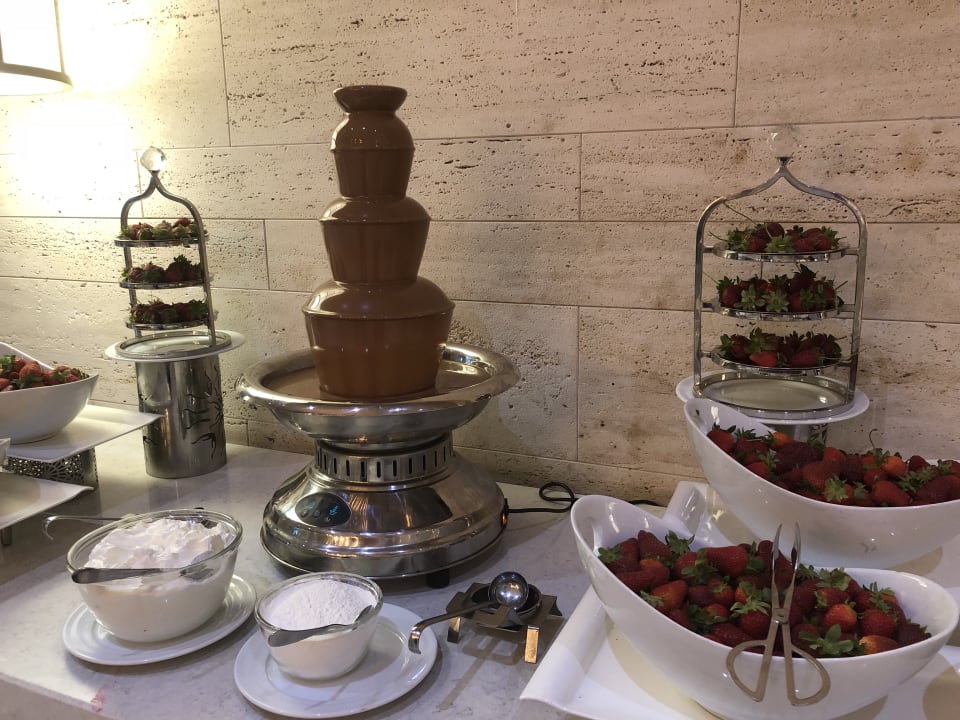 Gastro Acanthus Cennet Barut Collection