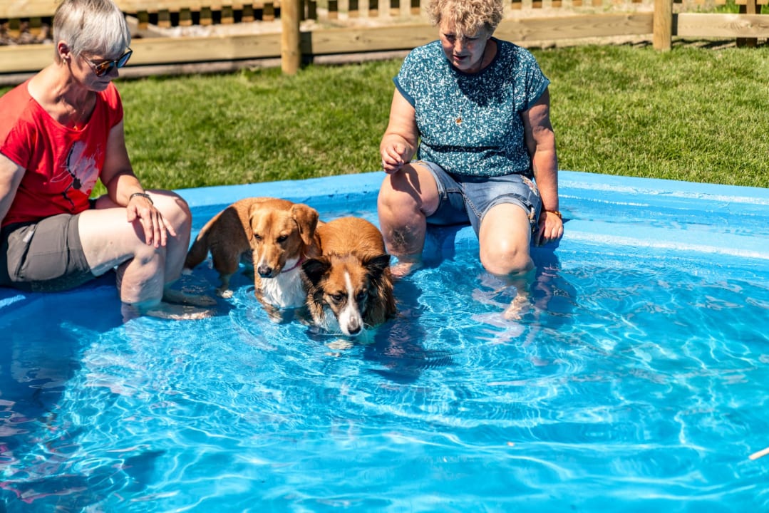 Pool Almfrieden Hotel & Romantikchalet