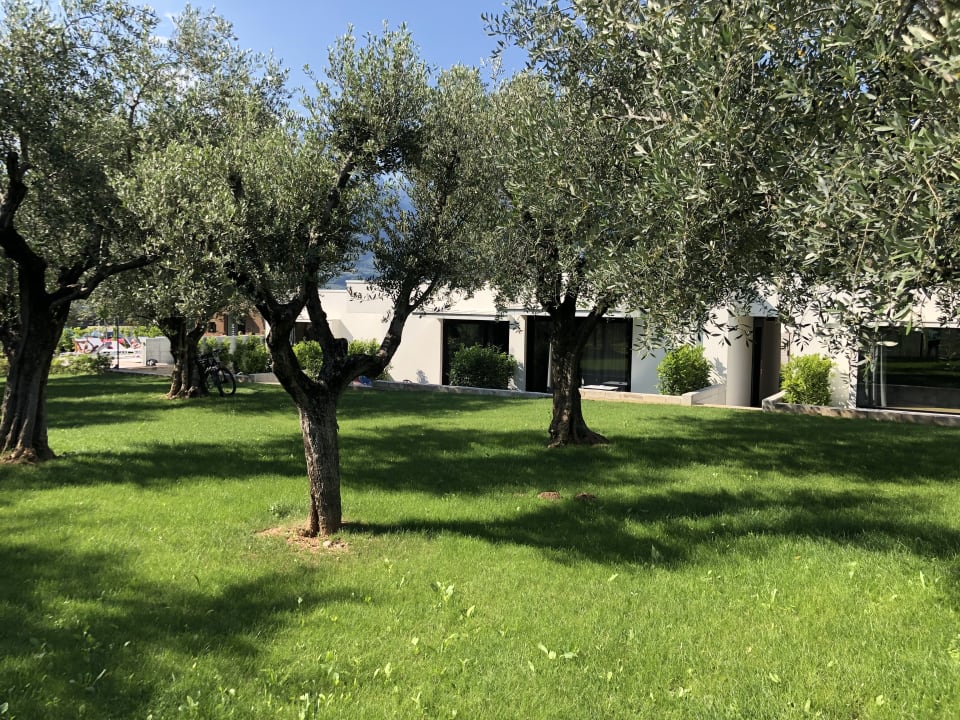 Außenansicht OLEEVA Garda Living