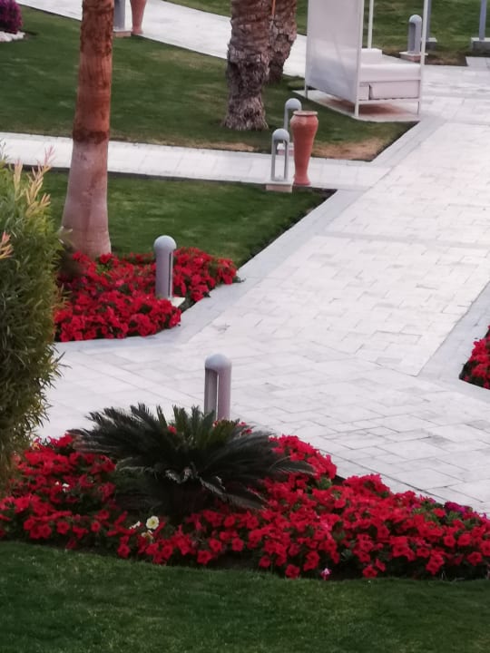 Gartenanlage Beach Albatros Resort