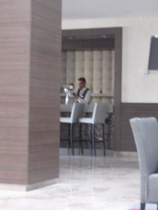 Lobby mit Bar Hotel Rosa Beach