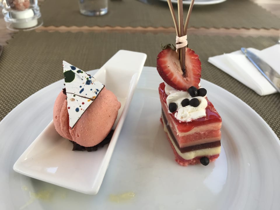 Gastro Acanthus Cennet Barut Collection